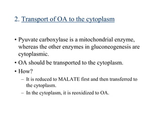 2. Transport of OA to the cytoplasm

• Pyuvate carboxylase is a mitochondrial enzyme,
  whereas the other enzymes in gluconeogenesis are
  cytoplasmic.
• OA should be transported to the cytoplasm.
• How?
  – It is reduced to MALATE first and then transferred to
    the cytoplasm.
  – In the cytoplasm, it is reoxidized to OA.
 
