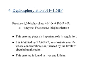 4. Dephosphorylation of F-1,6BP


  Fructose 1,6-bisphosphate + H2O  F-6-P + Pi
       » Enzyme: Fructose1,6-bisphosphatase

     This enzyme plays an important role in regulation.
     It is inhibited by F 2,6 BisP, an allosteric modifier
      whose concentration is influenced by the levels of
      circulating glucagon.
     This enzyme is found in liver and kidney.
 