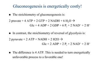 Gluconeogenesis is energetically costly!
   The stoichiometry of gluconeogenesis is:
2 pruvate + 4 ATP + 2 GTP + 2 NADH + 6 H2O 
               Glc + 4 ADP + 2 GDP + 6 Pi + 2 NAD+ + 2 H+

   In contrast, the stoichiometry of reversal of glycolysis is:
2 pyruvate + 2 ATP + NADH + 2 H2O 
                       Glc + 2 ADP + 2 Pi + 2 NAD+ + 2 H+

   The difference is 4 ATP. This is needed to turn energetically
    unfavorable process to a favorable one!
 