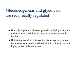 Gluconeogenesis and glycolysis
are reciprocally regulated


    Both glycolysis and gluconeogenesis are highly exorgonic
     under cellular conditions so there is no thermodynamic
     barrier.
    But, amounts and activities of the distinctive enzymes of
     each pathway are controlled so that both pathways are not
     highly active at the same time.
 