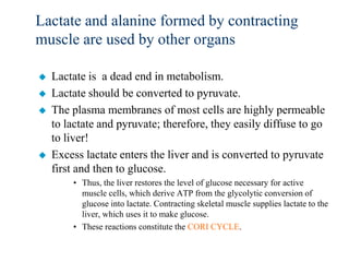 Lactate and alanine formed by contracting
muscle are used by other organs

   Lactate is a dead end in metabolism.
   Lactate should be converted to pyruvate.
   The plasma membranes of most cells are highly permeable
    to lactate and pyruvate; therefore, they easily diffuse to go
    to liver!
   Excess lactate enters the liver and is converted to pyruvate
    first and then to glucose.
        • Thus, the liver restores the level of glucose necessary for active
          muscle cells, which derive ATP from the glycolytic conversion of
          glucose into lactate. Contracting skeletal muscle supplies lactate to the
          liver, which uses it to make glucose.
        • These reactions constitute the CORI CYCLE.
 
