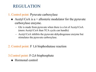 REGULATION
1. Control point: Pyruvate carboxylase
    Acetyl CoA is a + allosteric modulator for the pyruvate
     carboxylase enzyme.
     – Glc is made from pyruvate when there is a lot of Acetyl CoA
       (more Acetyl CoA than TCA cycle can handle)
     – Acetyl CoA inhibits the pyruvate dehydrogenase enzyme but
       stimulates the pyruvate carboxylase.


2. Control point: F 1,6 bisphoshatase reaction

3.Control point: F-2,6 bisphosphate
   Hormonal control
 
