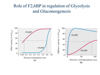 Role of F2,6BP in regulation of Glycolysis
          and Gluconeogenesis
 