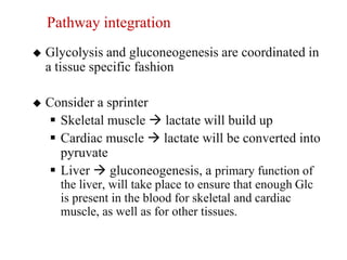 Pathway integration
   Glycolysis and gluconeogenesis are coordinated in
    a tissue specific fashion

   Consider a sprinter
     Skeletal muscle  lactate will build up
     Cardiac muscle  lactate will be converted into
      pyruvate
     Liver  gluconeogenesis, a primary function of
      the liver, will take place to ensure that enough Glc
      is present in the blood for skeletal and cardiac
      muscle, as well as for other tissues.
 