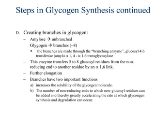 Steps in Glycogen Synthesis continued

D.   Creating branches in glycogen:
     – Amylose  unbranched
       Glygogen  branches (~8)
           The branches are made through the “branching enzyme”, glucosyl 4:6
            transferase (amylo 1, 4 - 1,6 transglycosylase
     – This enzyme transfers 5 to 8 glucosyl residues from the non-
       reducing end to another residue by an 1,6 link.
     – Further elongation
     – Branches have two important functions
        a) increases the solubility of the glycogen molecule.
        b) The number of non-reducing ends to which new glucosyl residues can
           be added and thereby greatly accelerating the rate at which glycongen
           synthesis and degradation can occur.
 