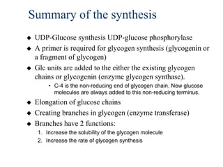 Summary of the synthesis
   UDP-Glucose synthesis UDP-glucose phosphorylase
   A primer is required for glycogen synthesis (glycogenin or
    a fragment of glycogen)
   Glc units are added to the either the existing glycogen
    chains or glycogenin (enzyme glycogen synthase).
        • C-4 is the non-reducing end of glycogen chain. New glucose
          molecules are always added to this non-reducing terminus.
   Elongation of glucose chains
   Creating branches in glycogen (enzyme transferase)
   Branches have 2 functions:
    1. Increase the solubility of the glycogen molecule
    2. Increase the rate of glycogen synthesis
 
