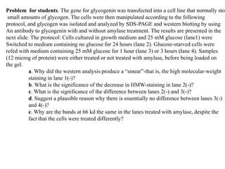 Problem for students. The gene for glycogenin was transfected into a cell line that normally stor
 small amounts of glycogen. The cells were then manipulated according to the following
protocol, and glycogen was isolated and analyzed by SDS-PAGE and western blotting by using
An antibody to glycogenin with and without amylase treatment. The results are presented in the
                            Berg • Tymoczko • Stryer
next slide. The protocol: Cells cultured in growth medium and 25 mM glucose (lane1) were
Switched to medium containing no glucose for 24 hours (lane 2). Glucose-starved cells were
refed with medium containing 25 mM glucose for 1 hour (lane 3) or 3 hours (lane 4). Samples

                      Biochemistry
(12 microg of protein) were either treated or not treated with amylase, before being loaded on
the gel.
           a. Why did the western analysis produce a “smear”-that is, the high molecular-weight
           staining in lane 1(-)?     Seventh Edition
           b. What is the significance of the decrease in HMW-staining in lane 2(-)?
           c. What is the significance of the difference between lanes 2(-) and 3(-)?
           d. Suggest a plausible reason why there is essentially no difference between lanes 3(-)
           and 4(-)?                 CHAPTER 21
           e. Why are the bands at 66 kd the same in the lanes treated with amylase, despite the
                             Glygogen Metabolism
           fact that the cells were treated differently?




                                              Copyright © 2012 by W. H. Freeman and Company
 