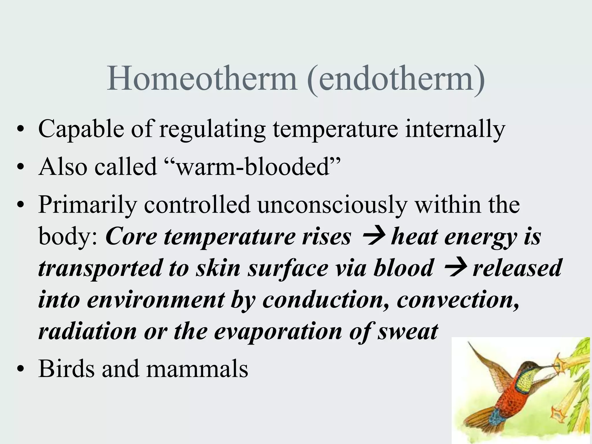 Homeotherm (endotherm)
• Capable of regulating temperature internally
• Also called “warm-blooded”
• Primarily controlled unconsciously within the
  body: Core temperature rises  heat energy is
  transported to skin surface via blood  released
  into environment by conduction, convection,
  radiation or the evaporation of sweat
• Birds and mammals
 