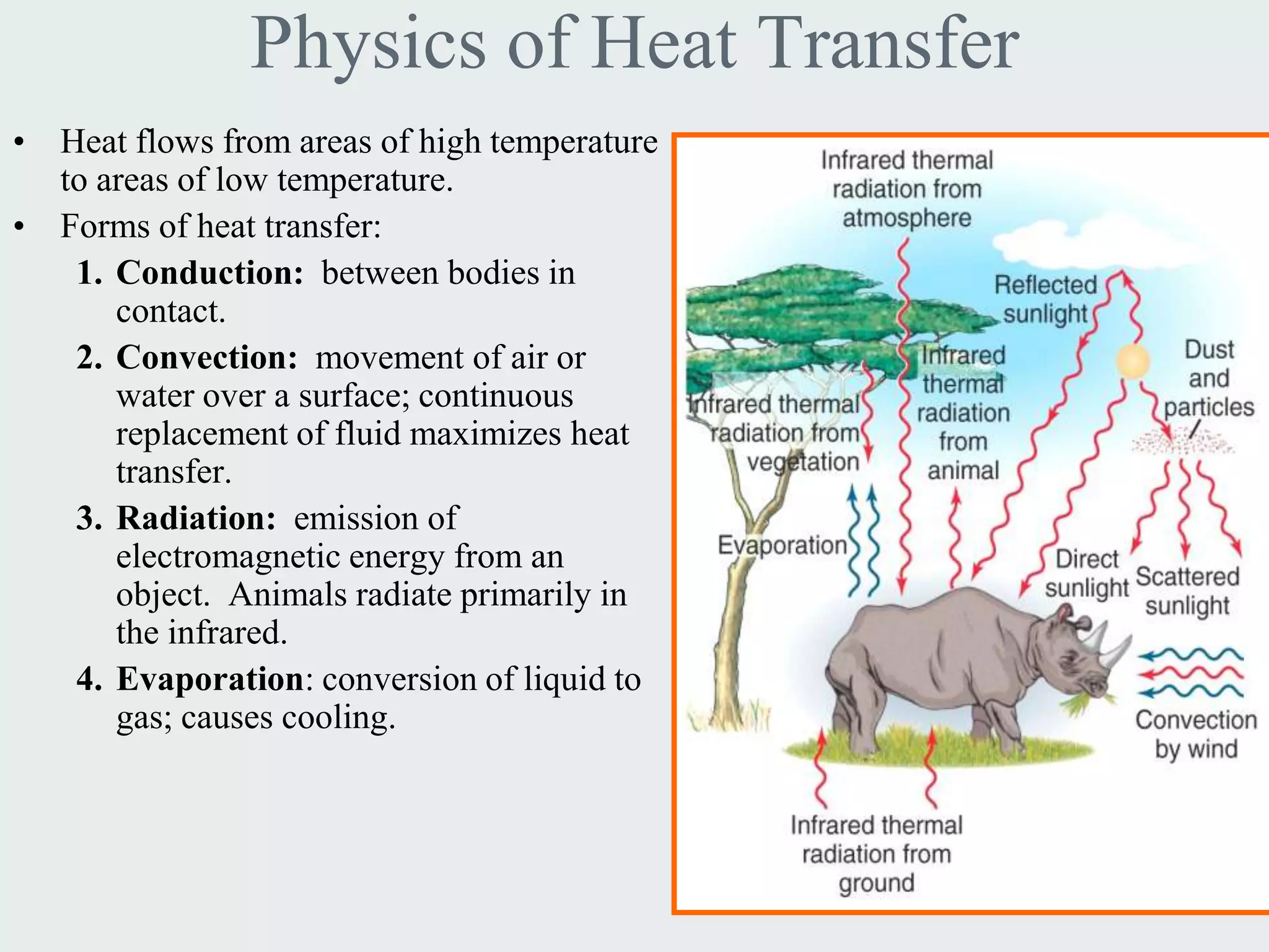 Physics of Heat Transfer
• Heat flows from areas of high temperature
  to areas of low temperature.
• Forms of heat transfer:
   1. Conduction: between bodies in
      contact.
   2. Convection: movement of air or
      water over a surface; continuous
      replacement of fluid maximizes heat
      transfer.
   3. Radiation: emission of
      electromagnetic energy from an
      object. Animals radiate primarily in
      the infrared.
   4. Evaporation: conversion of liquid to
      gas; causes cooling.
 