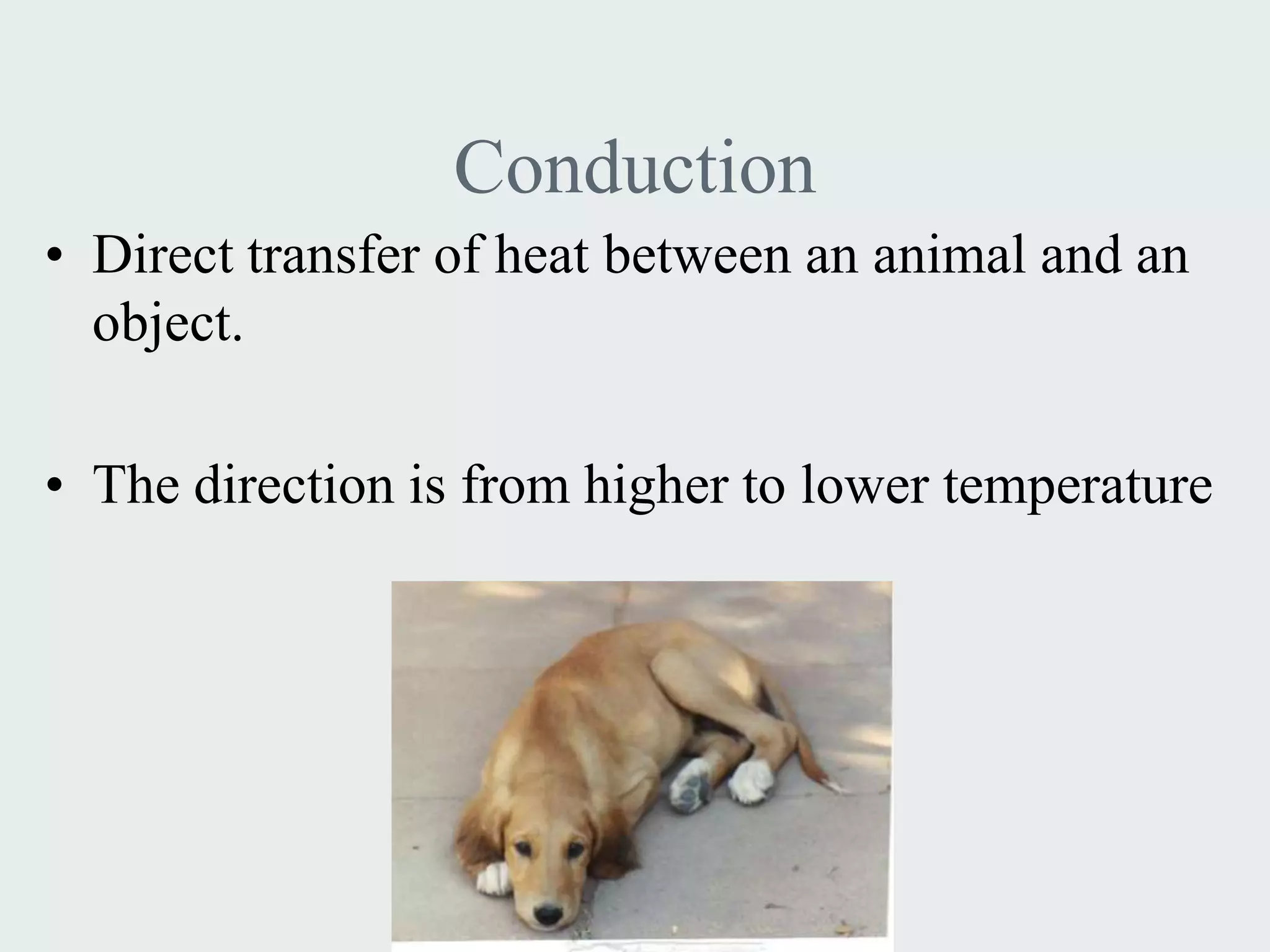Conduction
• Direct transfer of heat between an animal and an
  object.

• The direction is from higher to lower temperature
 