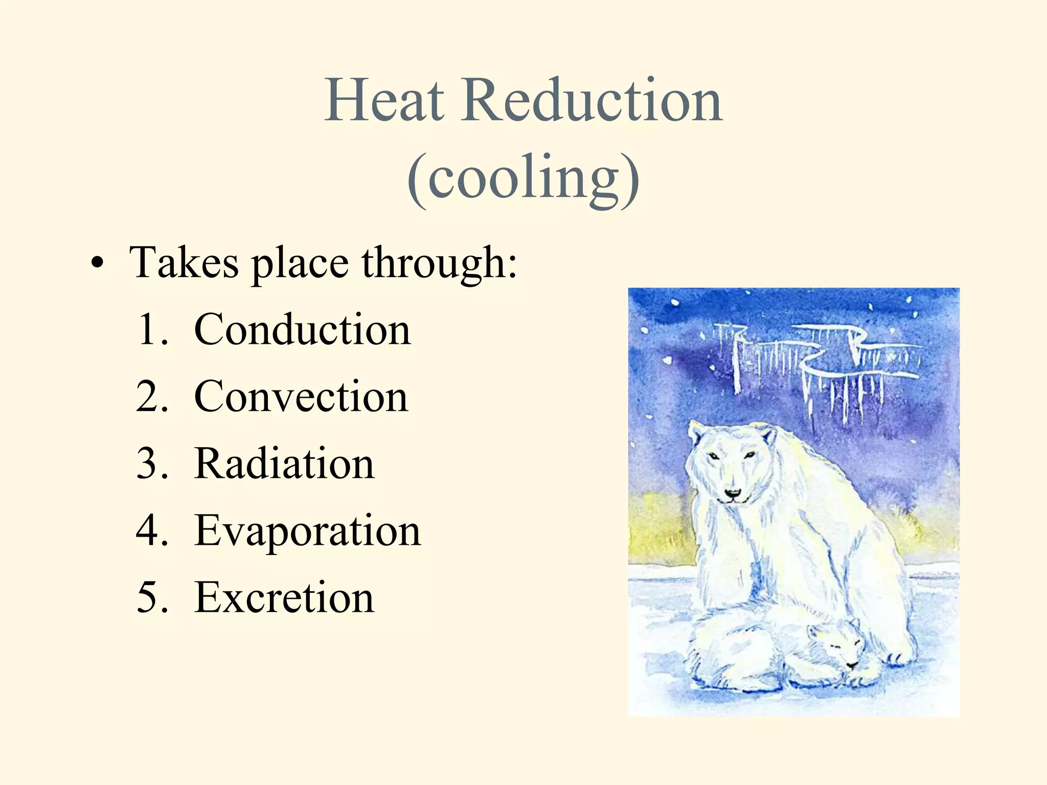 Heat Reduction
             (cooling)
• Takes place through:
  1. Conduction
  2. Convection
  3. Radiation
  4. Evaporation
  5. Excretion
 