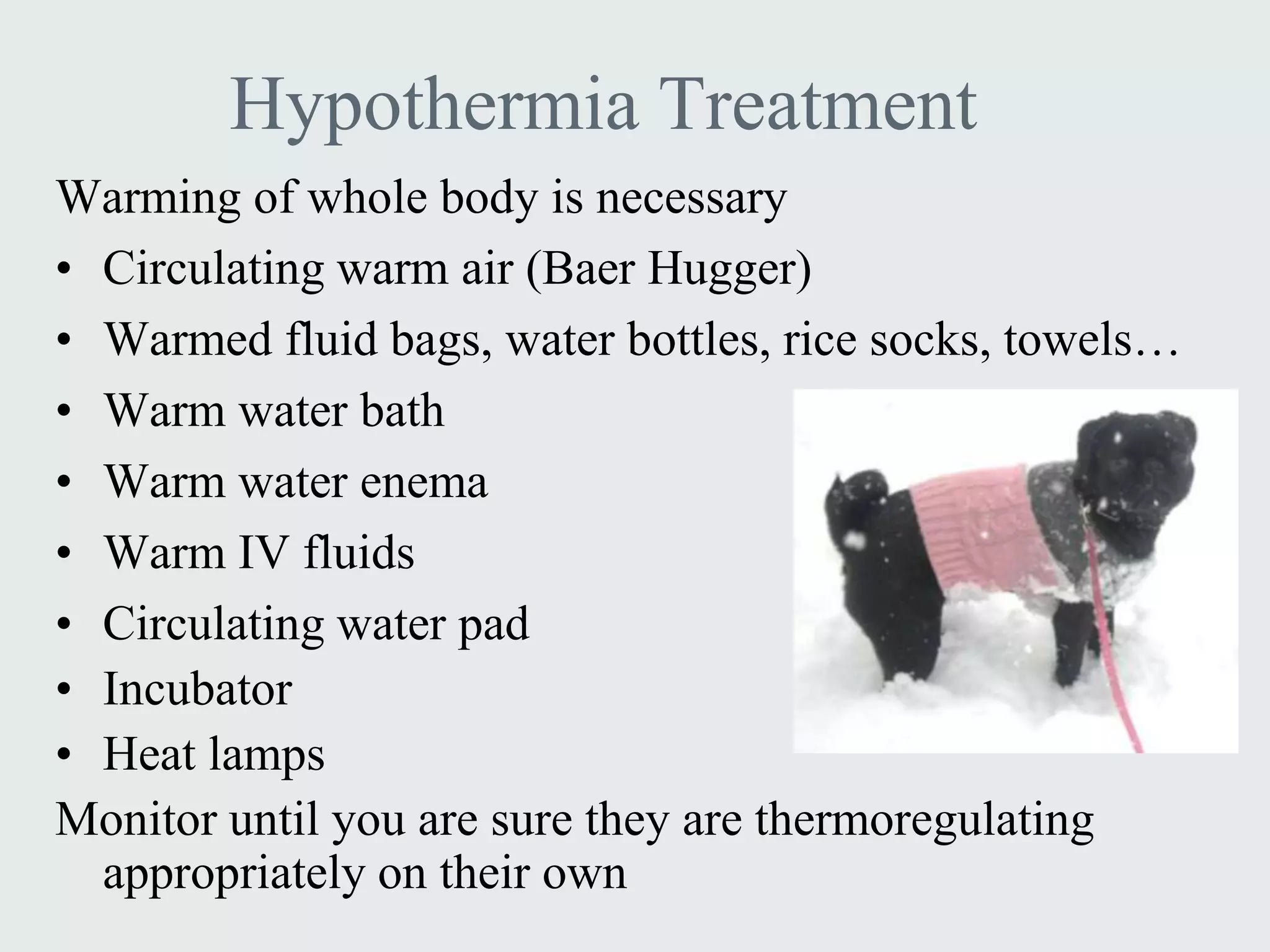 Hypothermia Treatment
Warming of whole body is necessary
• Circulating warm air (Baer Hugger)
• Warmed fluid bags, water bottles, rice socks, towels…
• Warm water bath
• Warm water enema
• Warm IV fluids
• Circulating water pad
• Incubator
• Heat lamps
Monitor until you are sure they are thermoregulating
  appropriately on their own
 