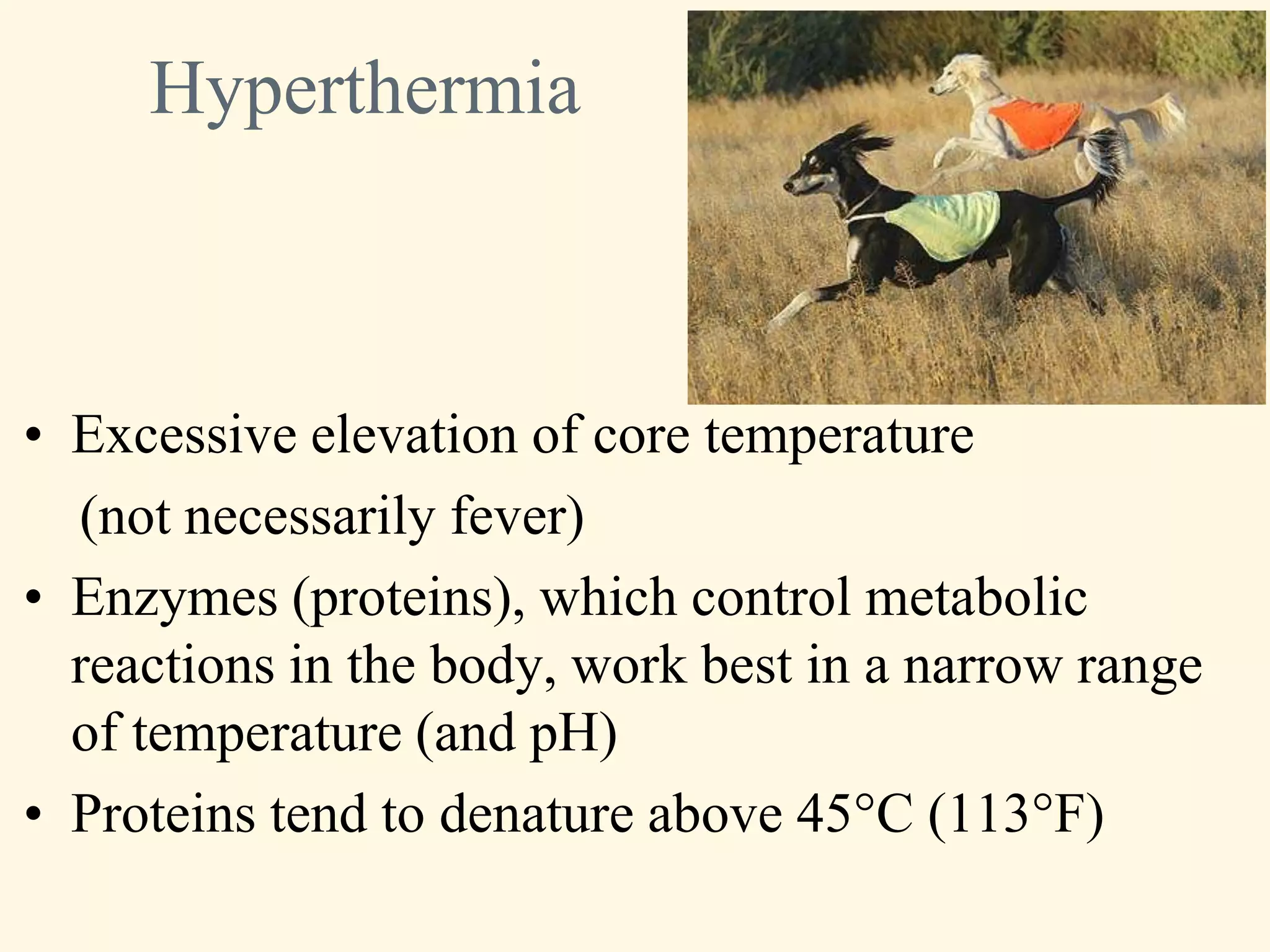 Hyperthermia



• Excessive elevation of core temperature
  (not necessarily fever)
• Enzymes (proteins), which control metabolic
  reactions in the body, work best in a narrow range
  of temperature (and pH)
• Proteins tend to denature above 45°C (113°F)
 