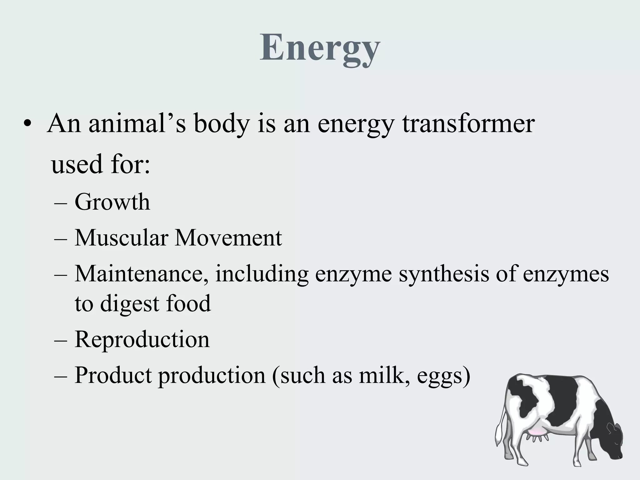 Energy
• An animal’s body is an energy transformer
  used for:
  – Growth
  – Muscular Movement
  – Maintenance, including enzyme synthesis of enzymes
    to digest food
  – Reproduction
  – Product production (such as milk, eggs)
 