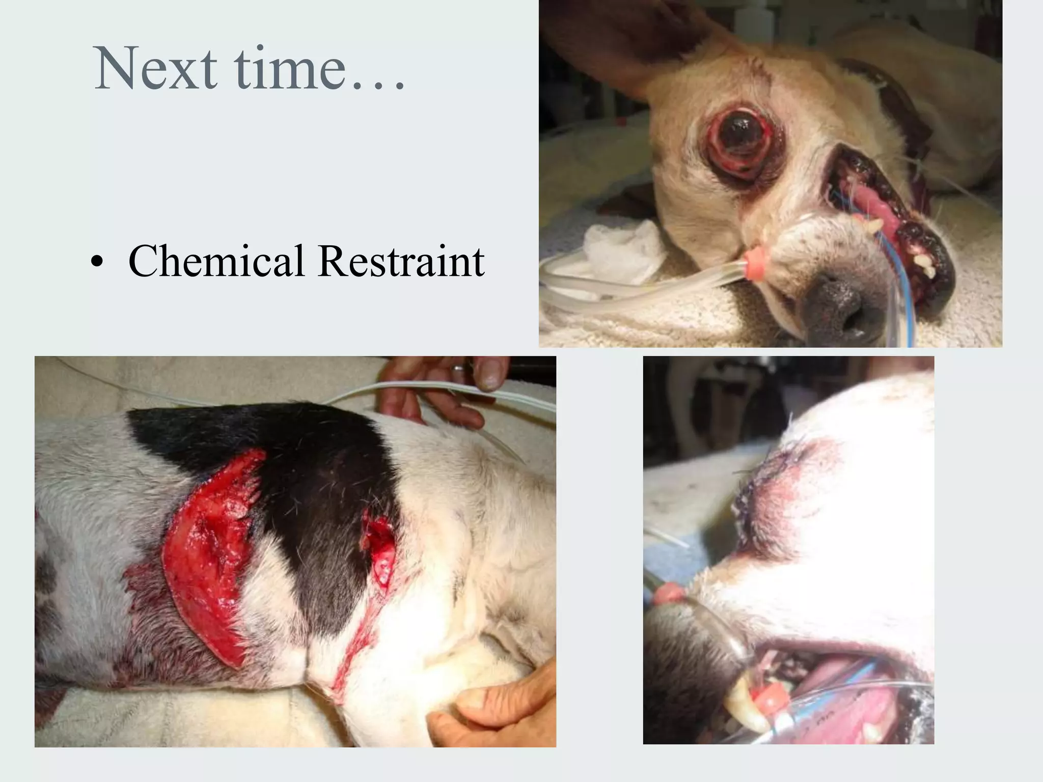 Next time…

• Chemical Restraint
 