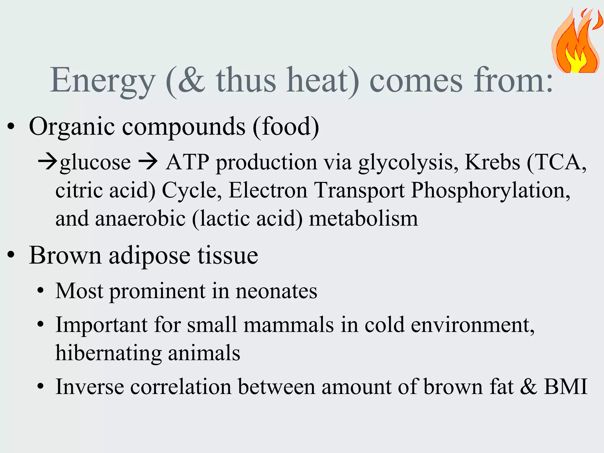Energy (& thus heat) comes from:
• Organic compounds (food)
  glucose  ATP production via glycolysis, Krebs (TCA,
   citric acid) Cycle, Electron Transport Phosphorylation,
   and anaerobic (lactic acid) metabolism
• Brown adipose tissue
  • Most prominent in neonates
  • Important for small mammals in cold environment,
    hibernating animals
  • Inverse correlation between amount of brown fat & BMI
 