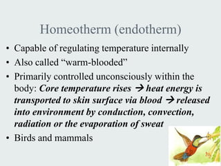 Homeotherm (endotherm)
• Capable of regulating temperature internally
• Also called “warm-blooded”
• Primarily controlled unconsciously within the
  body: Core temperature rises  heat energy is
  transported to skin surface via blood  released
  into environment by conduction, convection,
  radiation or the evaporation of sweat
• Birds and mammals
 