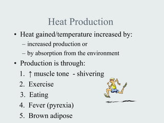 Heat Production
• Heat gained/temperature increased by:
  – increased production or
  – by absorption from the environment
• Production is through:
  1. ↑ muscle tone - shivering
  2. Exercise
  3. Eating
  4. Fever (pyrexia)
  5. Brown adipose
 