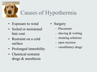 Causes of Hypothermia
• Exposure to wind       • Surgery
• Soiled or moistened      –   Placement
  hair coat                –   shaving & wetting
• Restraint on a cold      –   cleaning solutions
  surface                  –   open incision
                           –   vasodilatory drugs
• Prolonged immobility
• Chemical restraint
  drugs & anesthesia
 