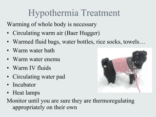 Hypothermia Treatment
Warming of whole body is necessary
• Circulating warm air (Baer Hugger)
• Warmed fluid bags, water bottles, rice socks, towels…
• Warm water bath
• Warm water enema
• Warm IV fluids
• Circulating water pad
• Incubator
• Heat lamps
Monitor until you are sure they are thermoregulating
  appropriately on their own
 