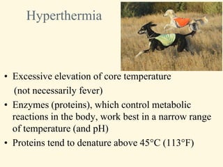Hyperthermia



• Excessive elevation of core temperature
  (not necessarily fever)
• Enzymes (proteins), which control metabolic
  reactions in the body, work best in a narrow range
  of temperature (and pH)
• Proteins tend to denature above 45°C (113°F)
 
