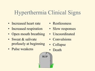 Hyperthermia Clinical Signs
• Increased heart rate     •   Restlessness
• Increased respiration    •   Slow responses
• Open mouth breathing     •   Uncoordinated
• Sweat & salivate         •   Convulsions
  profusely at beginning   •   Collapse
• Pulse weakens            •   Death
 