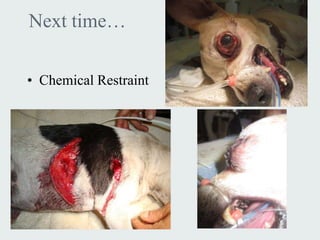 Next time…

• Chemical Restraint
 