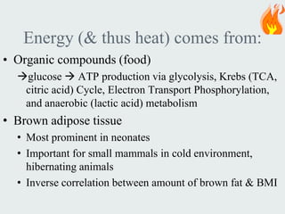 Energy (& thus heat) comes from:
• Organic compounds (food)
  glucose  ATP production via glycolysis, Krebs (TCA,
   citric acid) Cycle, Electron Transport Phosphorylation,
   and anaerobic (lactic acid) metabolism
• Brown adipose tissue
  • Most prominent in neonates
  • Important for small mammals in cold environment,
    hibernating animals
  • Inverse correlation between amount of brown fat & BMI
 