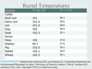 Rectal Temperatures
     Species                      °F +/- 1°                 °C +/- 0.5°
     Cattle
     Beef cow                     101                       38.3
     Dairy cow                    101.5                     38.6
     Cat                          101.5                     38.6
     Dog                          102                       38.9
     Goat                         102.3                     39.1
     Horse
     Mare                         100                       37.8
     Stallion                     99.7                      37.6
     Pig                          102.5                     39.2
     Rabbit                       103.1                     39.5
     Sheep                        102.3                     39.1

www.merckvetmanual.com *Adapted
                             from Andersson B.E. and Jónasson H., Temperature Regulation and
Environmental Physiology, in Dukes’ Physiology of Domestic Animals, 11th ed., Swenson M.J.
and Reece W.O., Eds. Copyright©1993 by Cornell University.
 