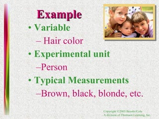 Example Variable   Hair color Experimental unit  Person Typical Measurements   Brown, black, blonde, etc. 