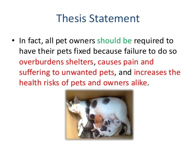 thesis statement pets