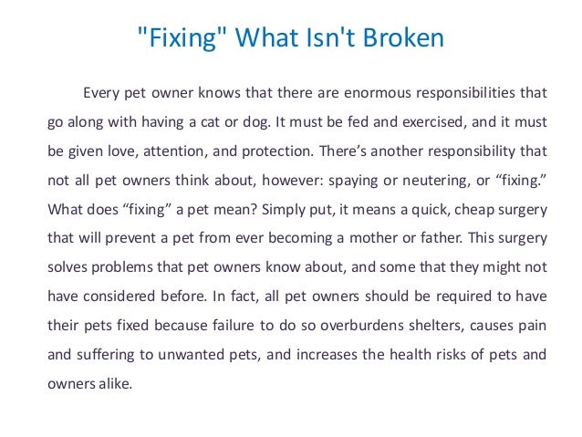 Dogs or Cats Persuasive Essay Sample - Pros Examples