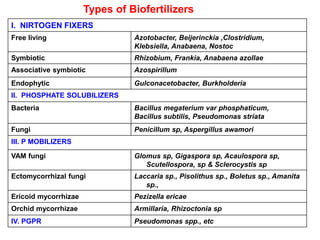 I. NIRTOGEN FIXERS
Free living Azotobacter, Beijerinckia ,Clostridium,
Klebsiella, Anabaena, Nostoc
Symbiotic Rhizobium, Frankia, Anabaena azollae
Associative symbiotic Azospirillum
Endophytic Gulconacetobacter, Burkholderia
II. PHOSPHATE SOLUBILIZERS
Bacteria Bacillus megaterium var phosphaticum,
Bacillus subtilis, Pseudomonas striata
Fungi Penicillum sp, Aspergillus awamori
III. P MOBILIZERS
VAM fungi Glomus sp, Gigaspora sp, Acaulospora sp,
Scutellospora, sp & Sclerocystis sp
Ectomycorrhizal fungi Laccaria sp., Pisolithus sp., Boletus sp., Amanita
sp.,
Ericoid mycorrhizae Pezizella ericae
Orchid mycorrhizae Armillaria, Rhizoctonia sp
IV. PGPR Pseudomonas spp., etc
Types of Biofertilizers
 