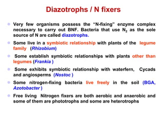 Diazotrophs / N fixers
 Very few organisms possess the “N-fixing” enzyme complex
necessary to carry out BNF. Bacteria that use N2 as the sole
source of N are called diazotrophs.
 Some live in a symbiotic relationship with plants of the legume
family (Rhizobium)
 Some establish symbiotic relationships with plants other than
legumes (Frankia )
 Some exhibits symbiotic relationship with waterfern, Cycads
and angiosperms (Nostoc )
 Some nitrogen-fixing bacteria live freely in the soil (BGA,
Azotobacter )
 Free living Nitrogen fixers are both aerobic and anaerobic and
some of them are phototrophs and some are heterotrophs
 