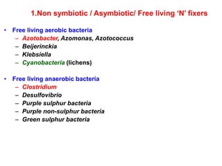 • Free living aerobic bacteria
– Azotobacter, Azomonas, Azotococcus
– Beijerinckia
– Klebsiella
– Cyanobacteria (lichens)
• Free living anaerobic bacteria
– Clostridium
– Desulfovibrio
– Purple sulphur bacteria
– Purple non-sulphur bacteria
– Green sulphur bacteria
1.Non symbiotic / Asymbiotic/ Free living ‘N’ fixers
 