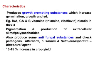 Characteristics
• Produces growth promoting substances which increase
germination, growth and yd.
• Eg. IAA, GA & B vitamins (thiamine, riboflavin) nicotin in
media
• Pigmentation & production of extracellular
slime/polysaccharides
• Also produce some anti fungal substances and check
pathogens Alternaria, Fusarium & Helminthosporium –
biocontrol agent
• 10-15 % increase in crop yield
 