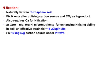 N fixation:
• Naturally fix N in rhizosphere soil
• Fix N only after utilizing carbon source and CO2 as byproduct.
• Also requires Ca for N fixation
• In vitro – req. org N, micronutrients for enhancing N fixing ability
• In soil an effective strain fix ~15-20kg/N /ha
• Fix 10 mg N/g carbon source under in vitro
 
