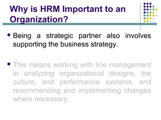how you explain why human resource management is important to an ...