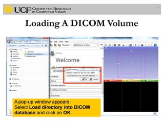 Lec1: Medical Image Computing - Introduction | PDF