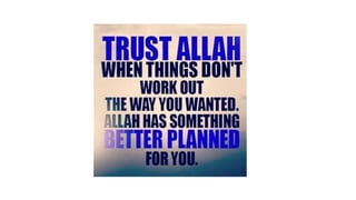 Lecture 1 - PH and Litmus paper