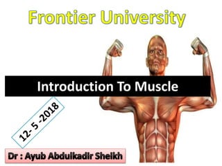 Introduction To Muscle
 