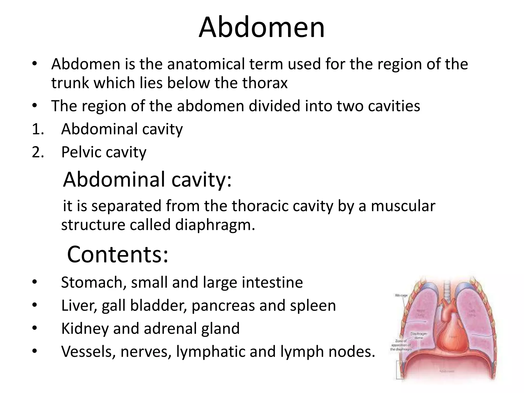 anatomy and histology | PPTX