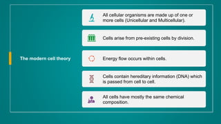 cell biology, cell theory, bacterial cell | PPTX