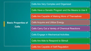 Cells Are Very Complex and Organized
Cells Have a Genetic Program and the Means to Use It
Cells Are Capable of Making More of Themselves
Cells Acquire and Utilize Energy
Cells Carry Out a Variety of Chemical Reactions
Cells Engage in Mechanical Activities
Cells Are Able to Respond to Stimuli
Cells Are Capable of Self-Regulation
Basic Properties of
Cells
 