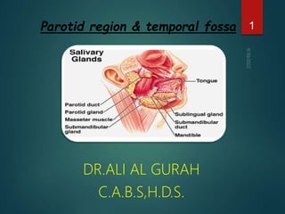 Parotid region & temporal fossa
DR.ALI AL GURAH
C.A.B.S,H.D.S.
1
 