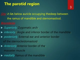 lec 1.Parotid region & temporal fossa.pptx