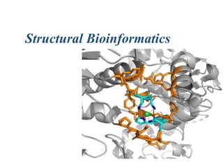 Structure Bioinformatics Lec 1.2.3. Structural Bioinformatics.pptx