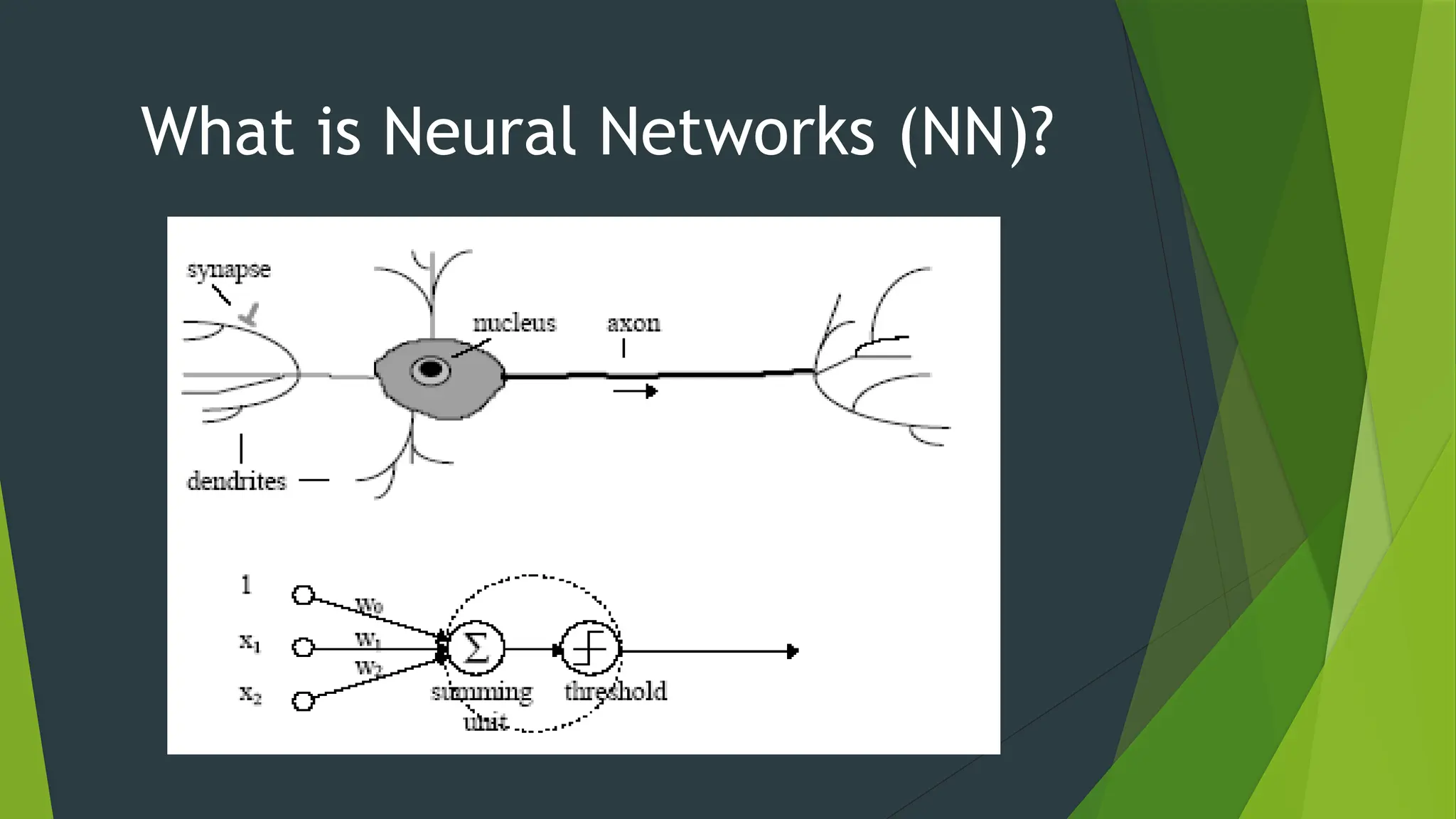 What is Neural Networks (NN)?
 