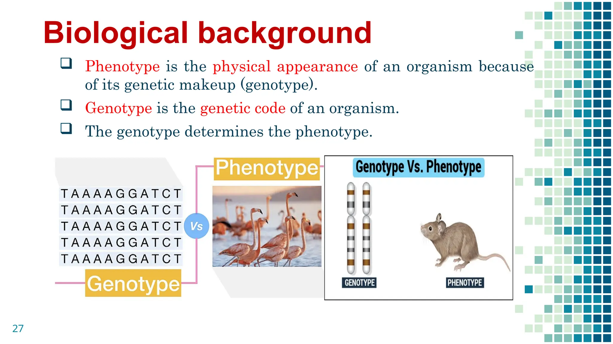 Biological background
 Phenotype is the physical appearance of an organism because
of its genetic makeup (genotype).
 Genotype is the genetic code of an organism.
 The genotype determines the phenotype.
27
 