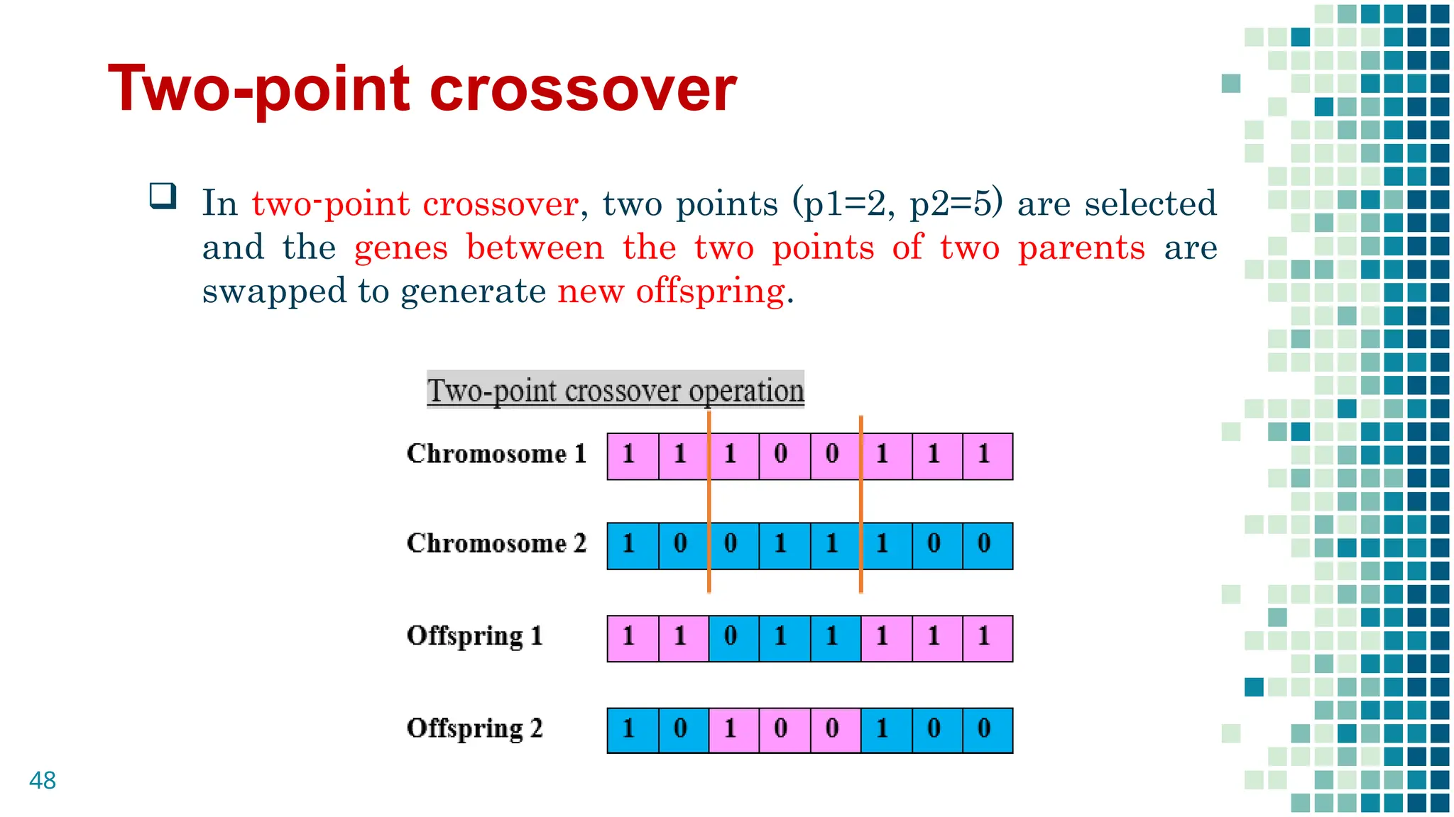Two-point crossover
 In two-point crossover, two points (p1=2, p2=5) are selected
and the genes between the two points of two parents are
swapped to generate new offspring.
48
 
